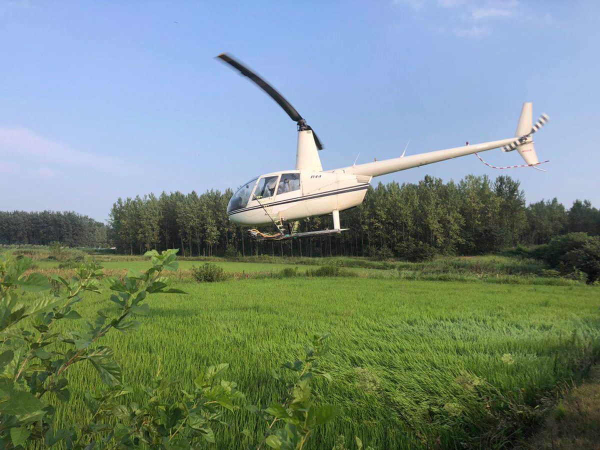 防治小麦