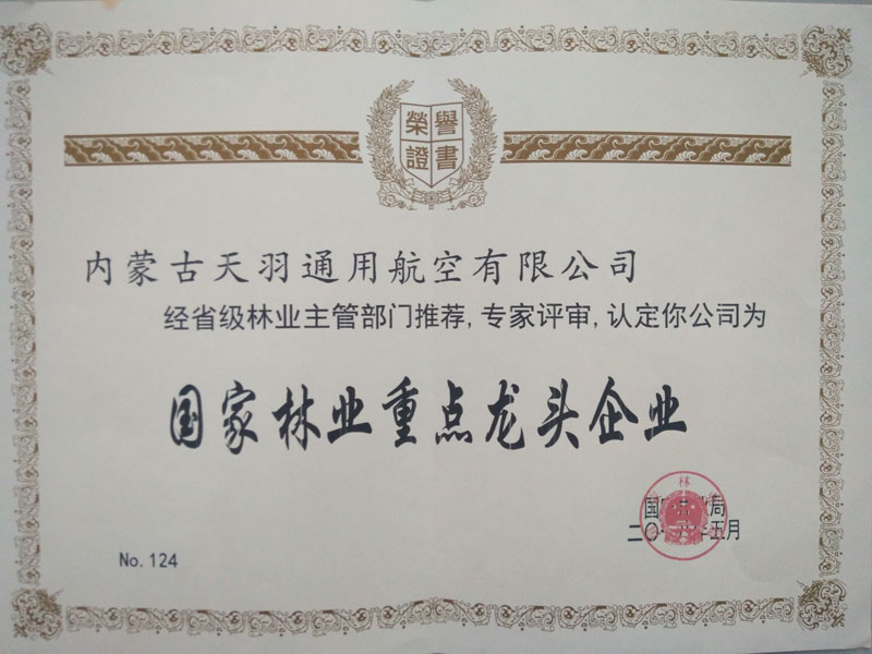 重点龙头企业